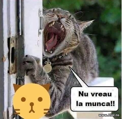 Nu vreau la munca poze haioase