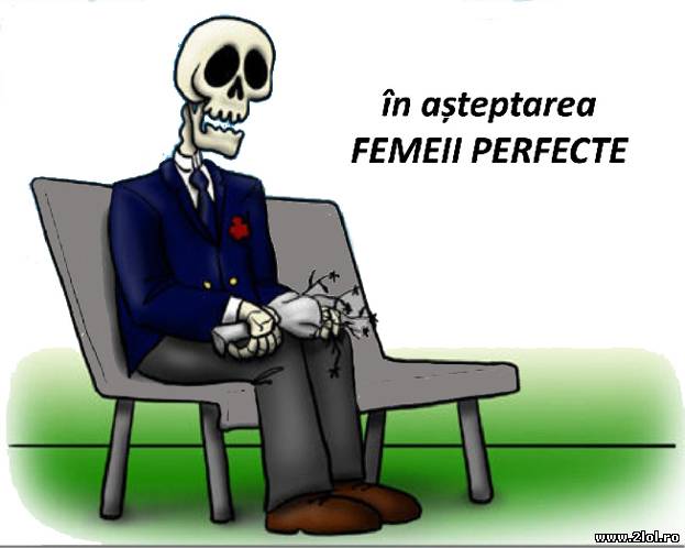 În aşteptarea femeii perfecte poze haioase
