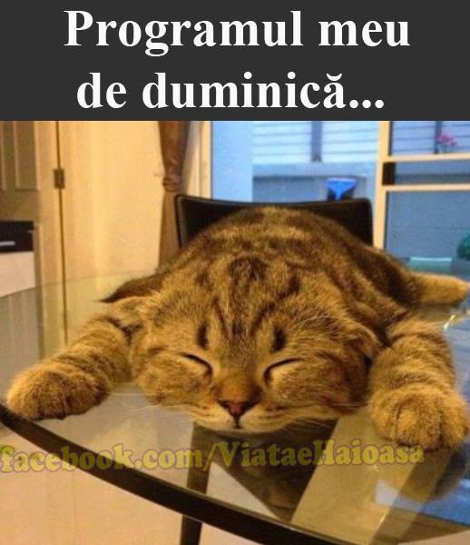 Programul de Duminică poze haioase