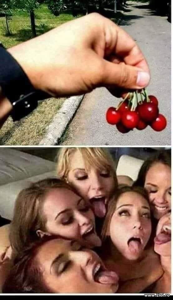 Ciresele poze haioase