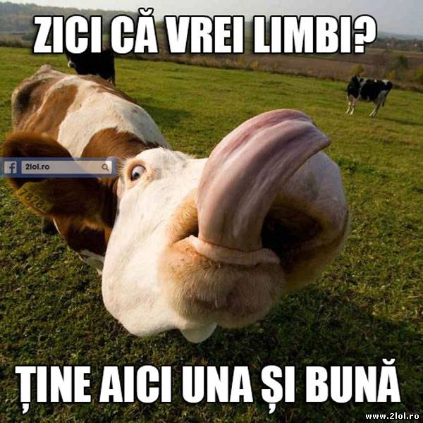 Zici că vrei limbi? poze haioase