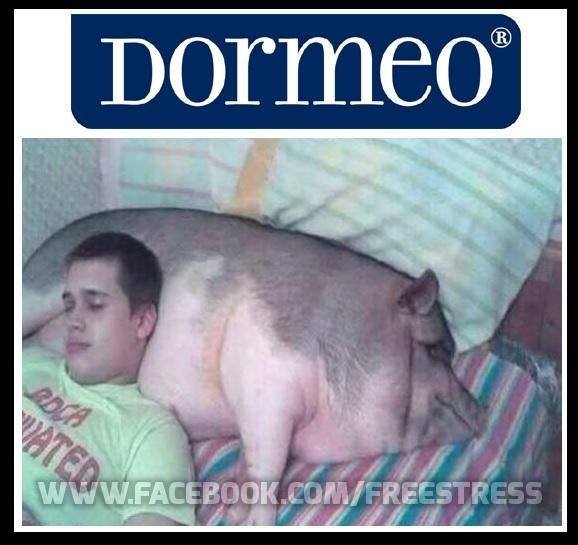 Perna Dormeo poze haioase