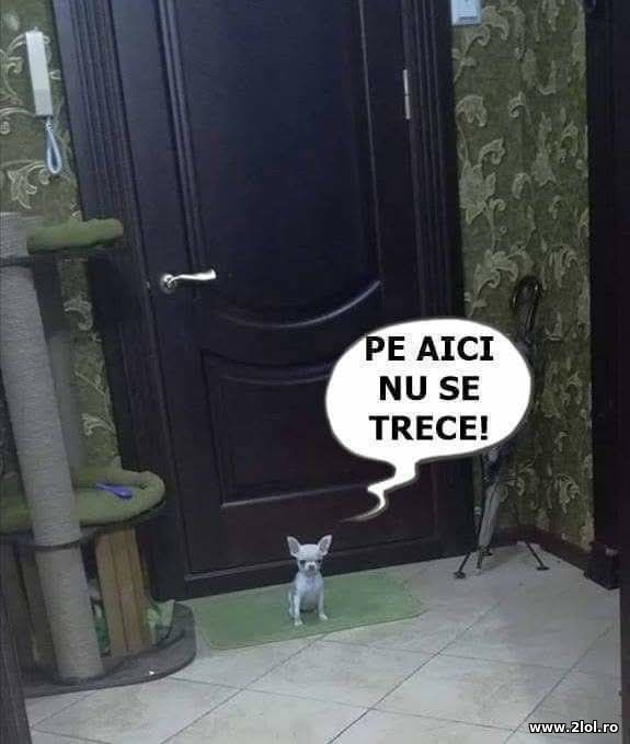 Pe aici nu se trece poze haioase