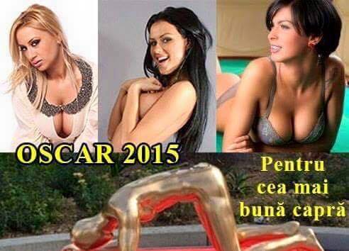 Oscar pentru cea mai bună capră poze haioase