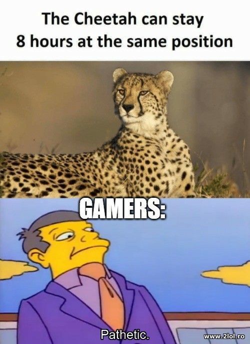 Gamers poze haioase