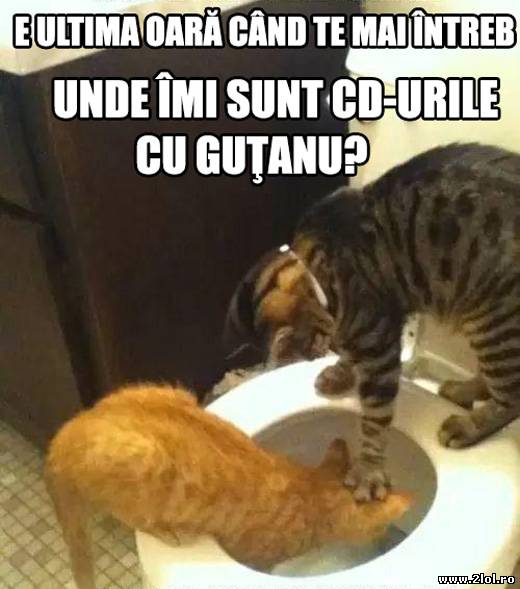 E ultima oară când te mai întreb poze haioase