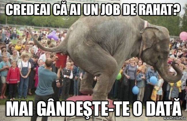 Eşti nemulţumit de locul tău de muncă? poze haioase