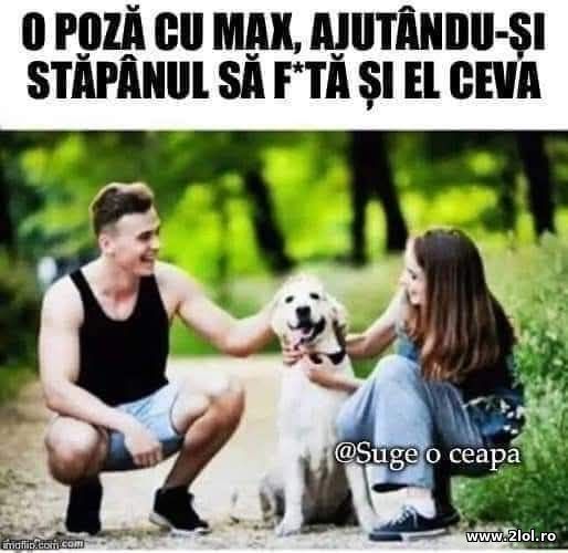 O poza cu Max poze haioase