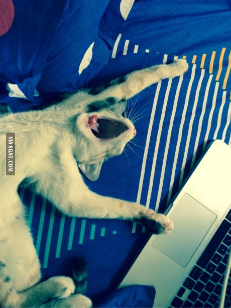 Trezitul în weekend poze haioase