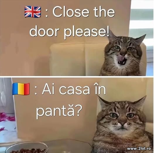 In engleza si in romana poze haioase