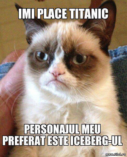 Personajul preferat din Titanic al pisicii Grumpy poze haioase
