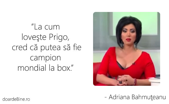 Ce putea să fie Prigoană, by Adriana Bahmuţeanu poze haioase