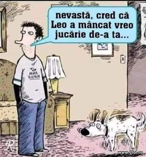 Vre-o jucarie poze haioase