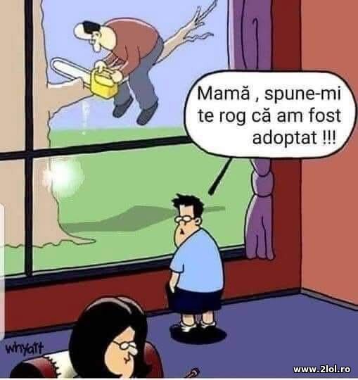 Spune-mi ca am fost adoptat poze haioase