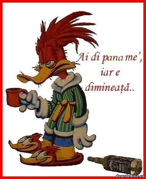 Eu, după o seară grea poze haioase