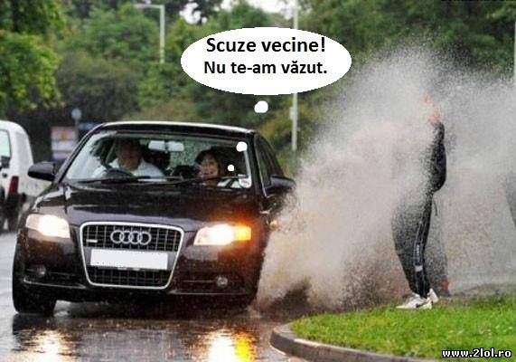 Sigur nu l-a  văzut! poze haioase