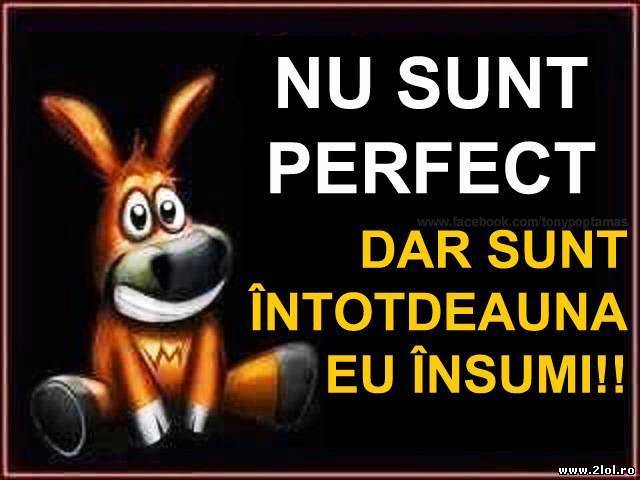 Nu sunt perfect poze haioase