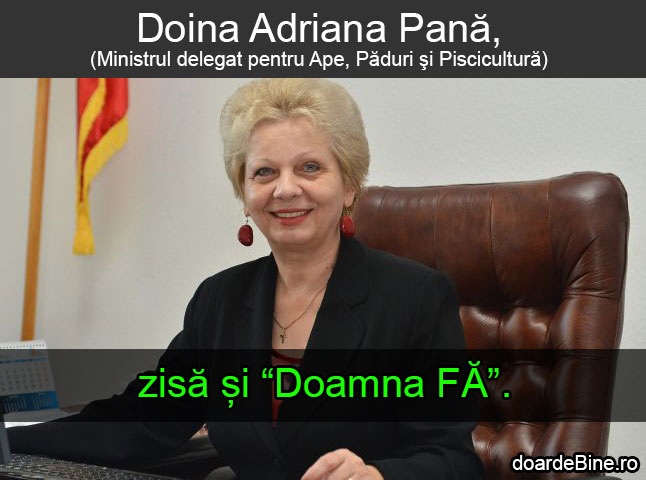 Porecla doamnei Pană poze haioase