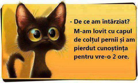 Când te întreabă profu de ce ai întârziat poze haioase