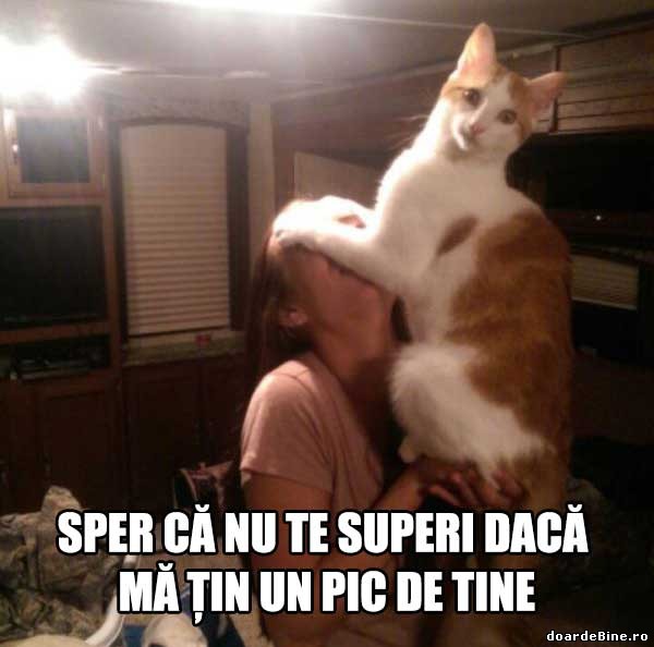 De ce s-ar supara... poze haioase