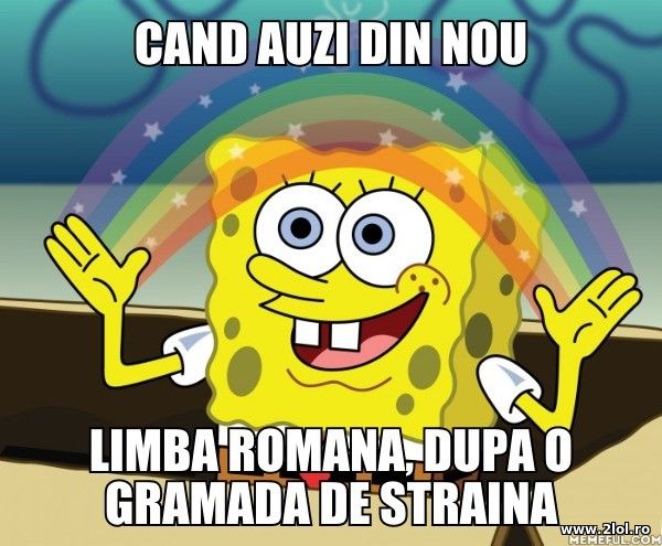 Cand auzi limba romana, dupa o gramada de straina poze haioase