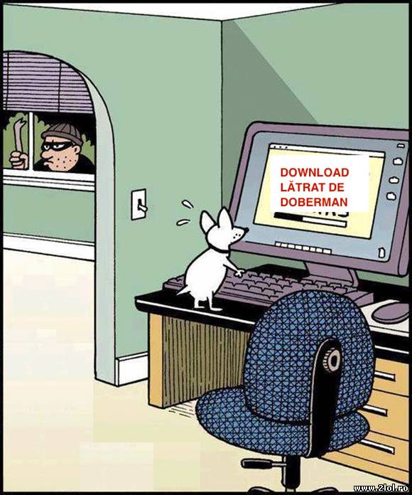 Internetul, cel mai bun prieten al câinelui poze haioase