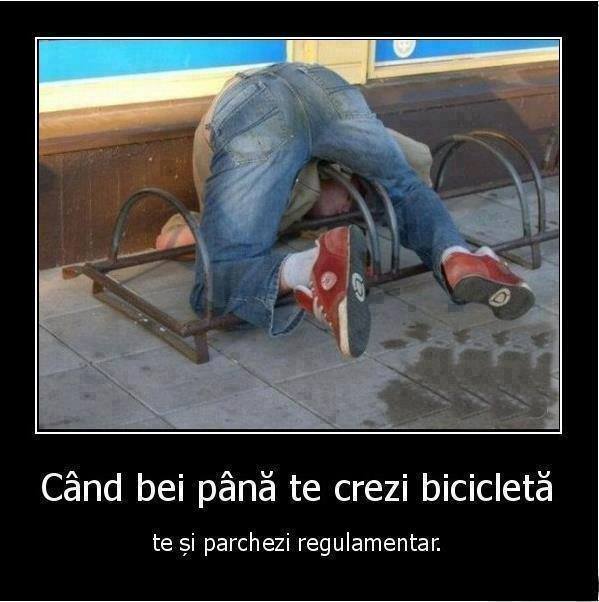 Categoria grea poze haioase