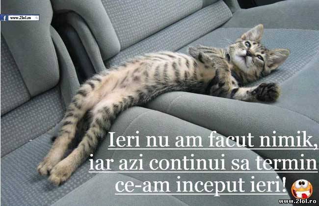 Azi continui să termin ce-am început ieri poze haioase