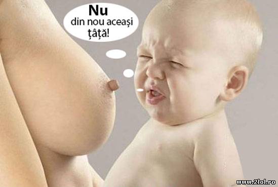 Nu din nou aceași tâță! poze haioase