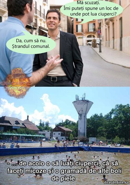 De unde pot lua ciuperci? poze haioase