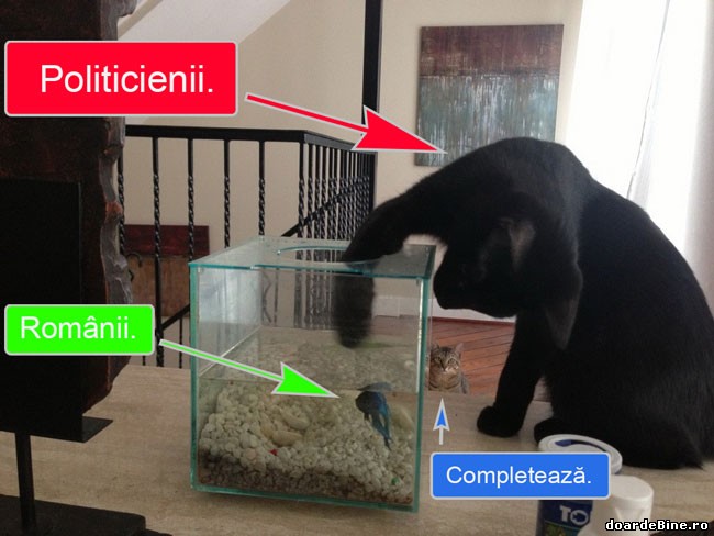 Ce s-a întâmplat în România după revoluție poze haioase