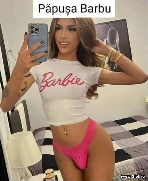 Papusa Barbu poze haioase