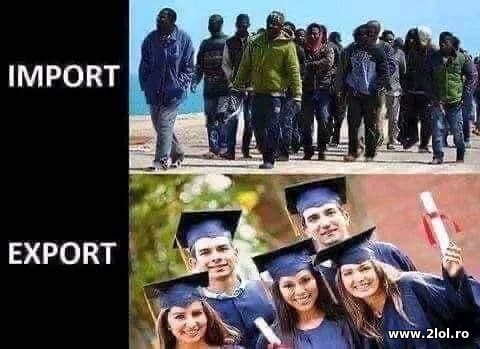 Import si export poze haioase