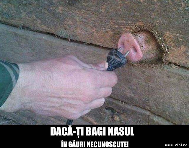 Ai grijă unde îți bagi nasul poze haioase