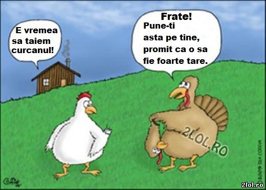 Ai încredere în toti și o sa iți meargă bine poze haioase