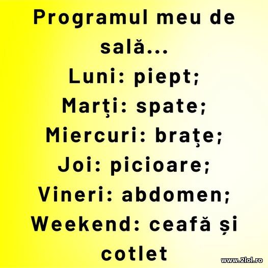 Programul meu de sala poze haioase