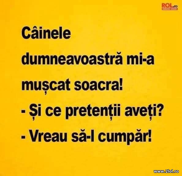 Cainele dumneavoastra poze haioase