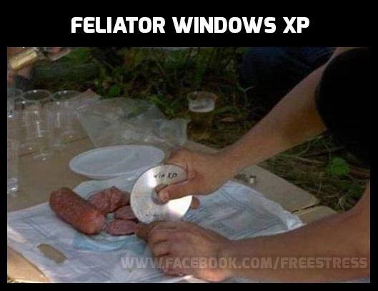 Feliator CD Windows XP poze haioase