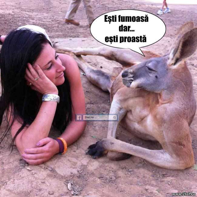 Esti frumoasă dar ești proastă poze haioase