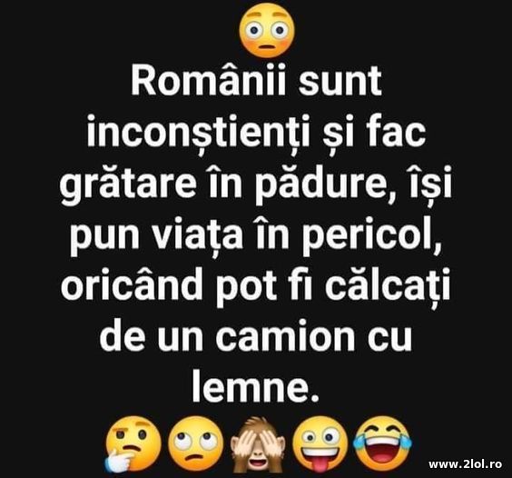 E periculos sa faci gratar in padure poze haioase