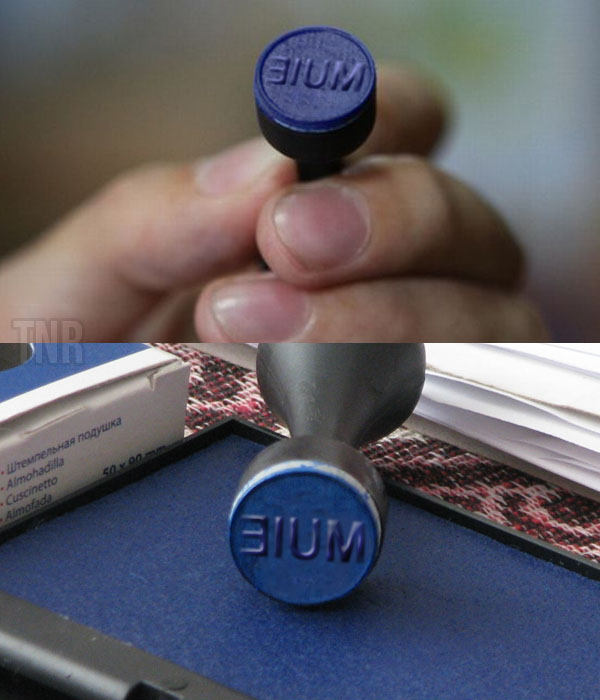 Ștampila de vot pe care o vor românii poze haioase