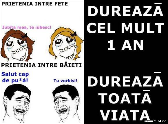 Prietenia între fete și prietenia între băieți poze haioase