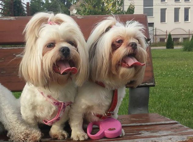 Reacția mea atunci când văd o reclamă la catena poze haioase