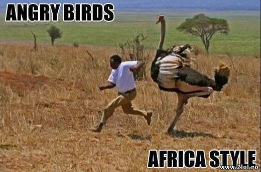 Angry Birds varianta africană poze haioase