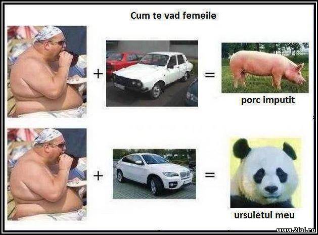 Cum te văd femeile poze haioase