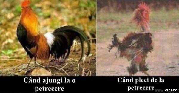 Când ajungi și când pleci de la o petrecere poze haioase