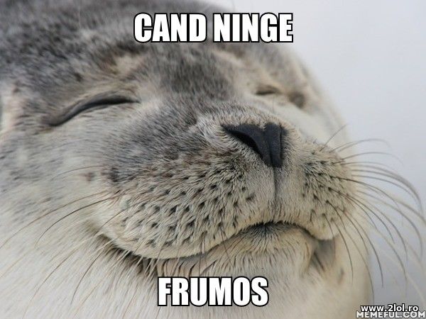 Cand ninge frumos poze haioase