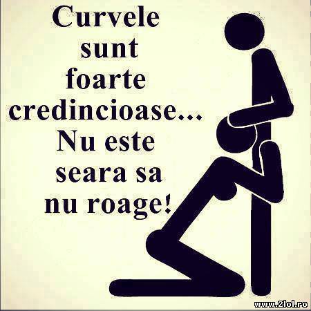 Ele sunt printre cele mai credincioase persoane poze haioase