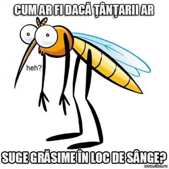 Atunci cred că am iubii ţânţarii poze haioase