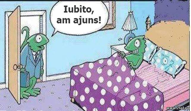 Ce bine-i să fii cameleon poze haioase